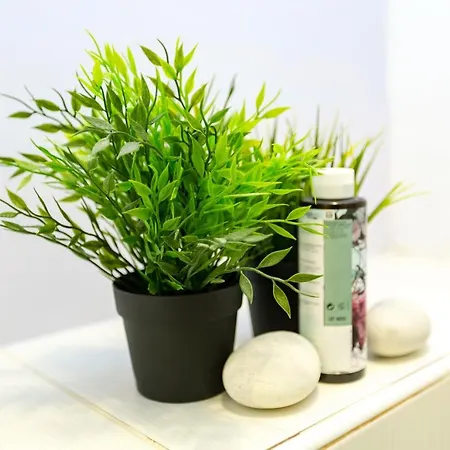 Townhall Appartement